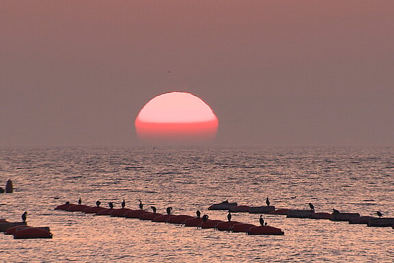 Karst_Sonnenaufgang.jpg  