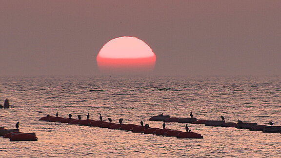 Karst_Sonnenaufgang.jpg  